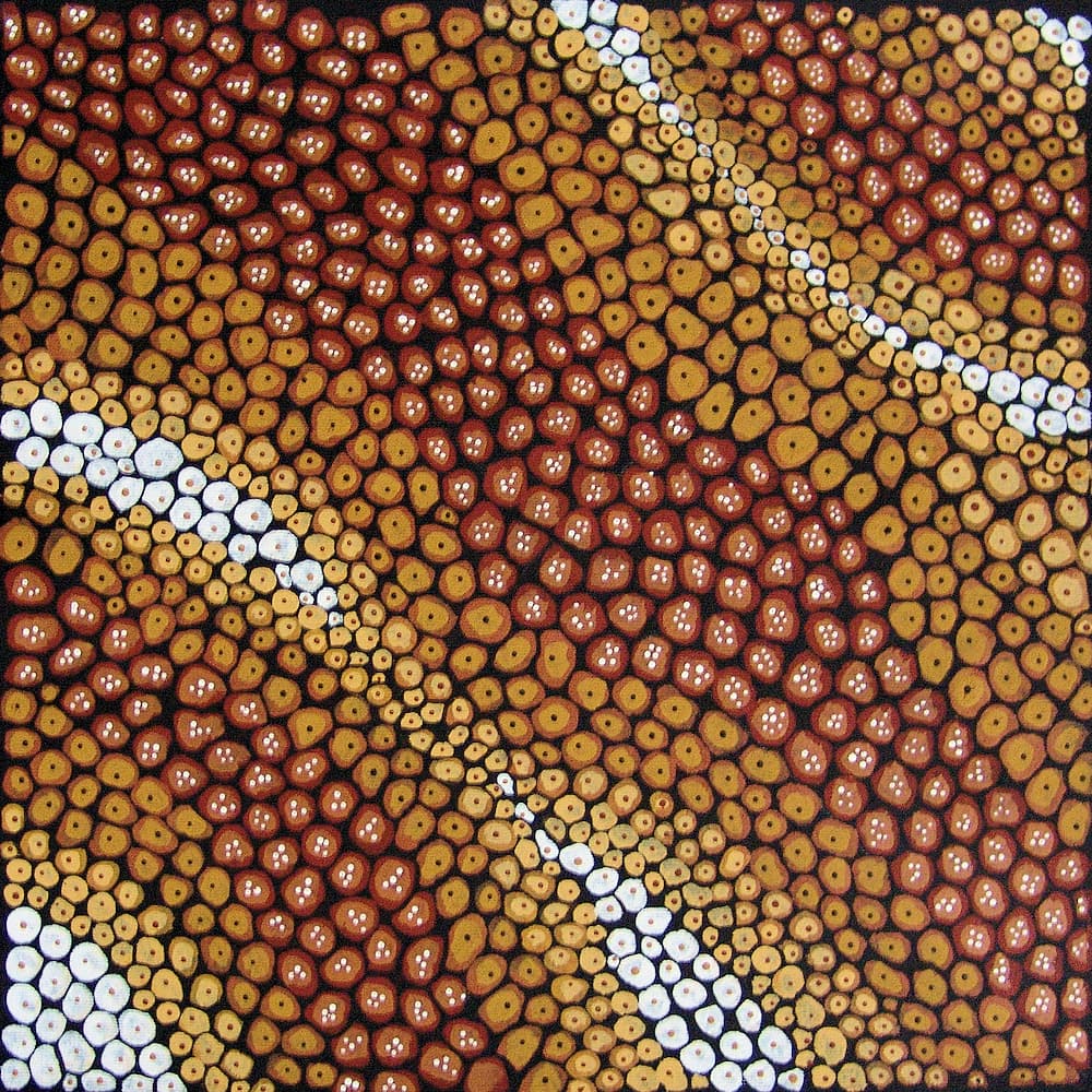Thorny Devil Design, 2010 © Selma Coulthard