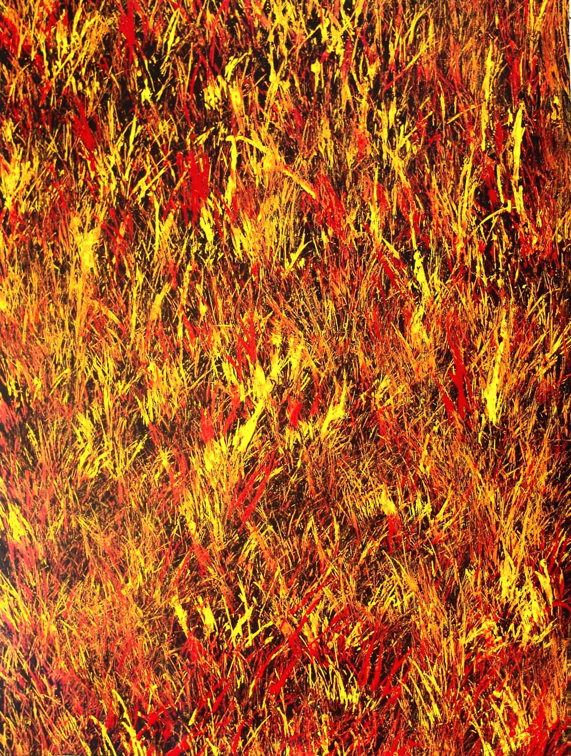 Tjanpi Kampanyi (Burning Grass), 2008 © Trephina Sultan Thanguwa