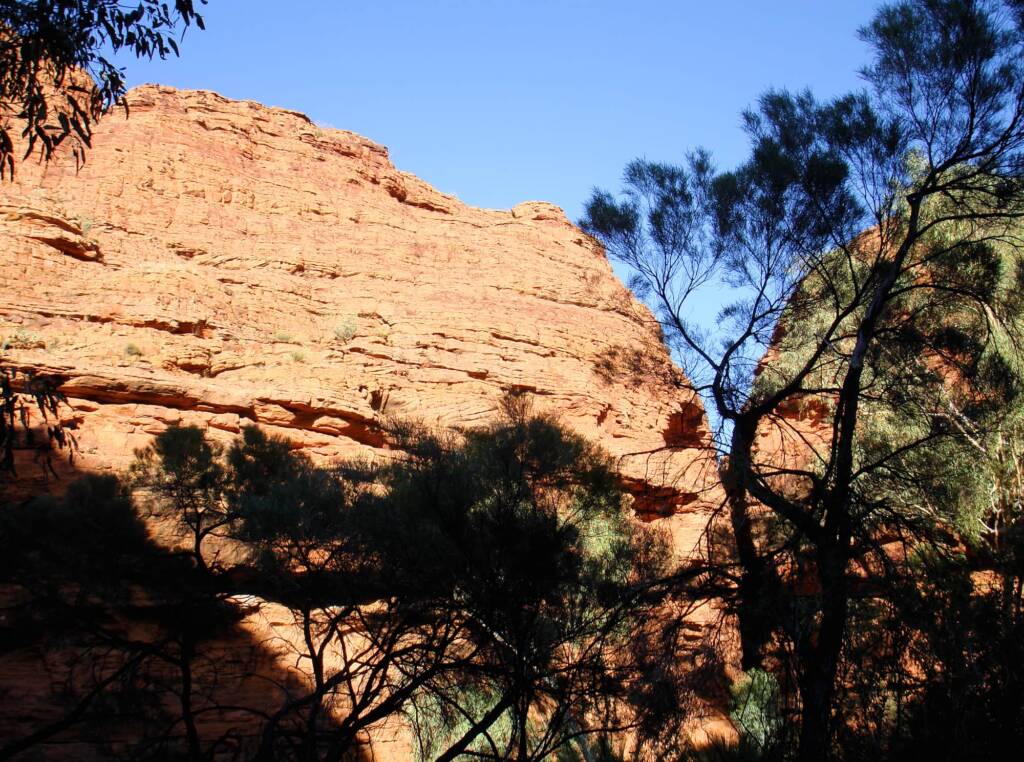 View up from Garden of Eden, Kings Canyon