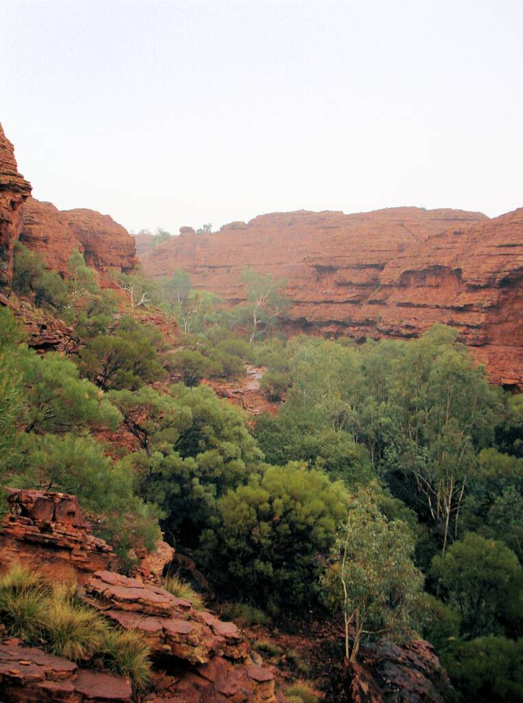 Views along the Rim Walk, Kings Canyon