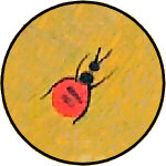 Honey ant ยฉ Rex Sultan-Jabangardi