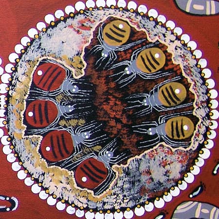 Honey ants ยฉ Selma Coulthard