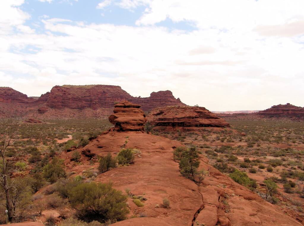 View from the Kalarranga Lookout walk, Finke Gorge National Park