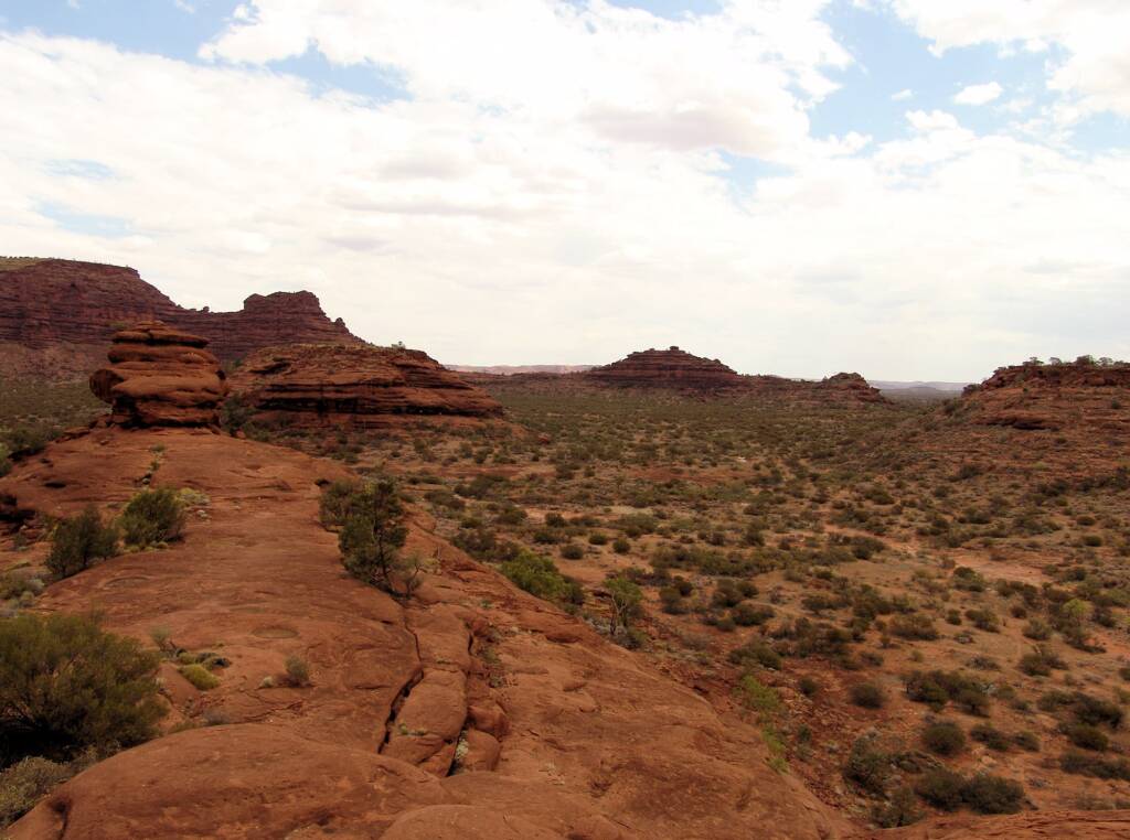 View from the Kalarranga Lookout walk, Finke Gorge National Park