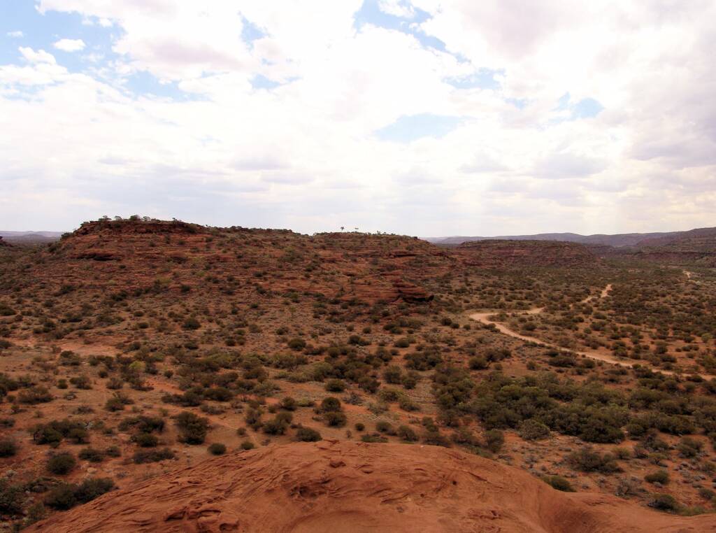 View from the Kalarranga Lookout walk, Finke Gorge National Park