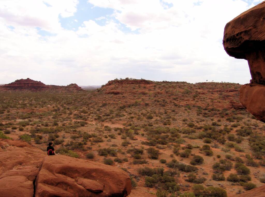 View from the Kalarranga Lookout walk, Finke Gorge National Park