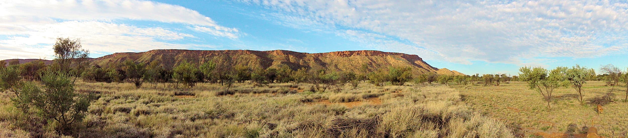 Mount Gillen, Alice Springs, NT