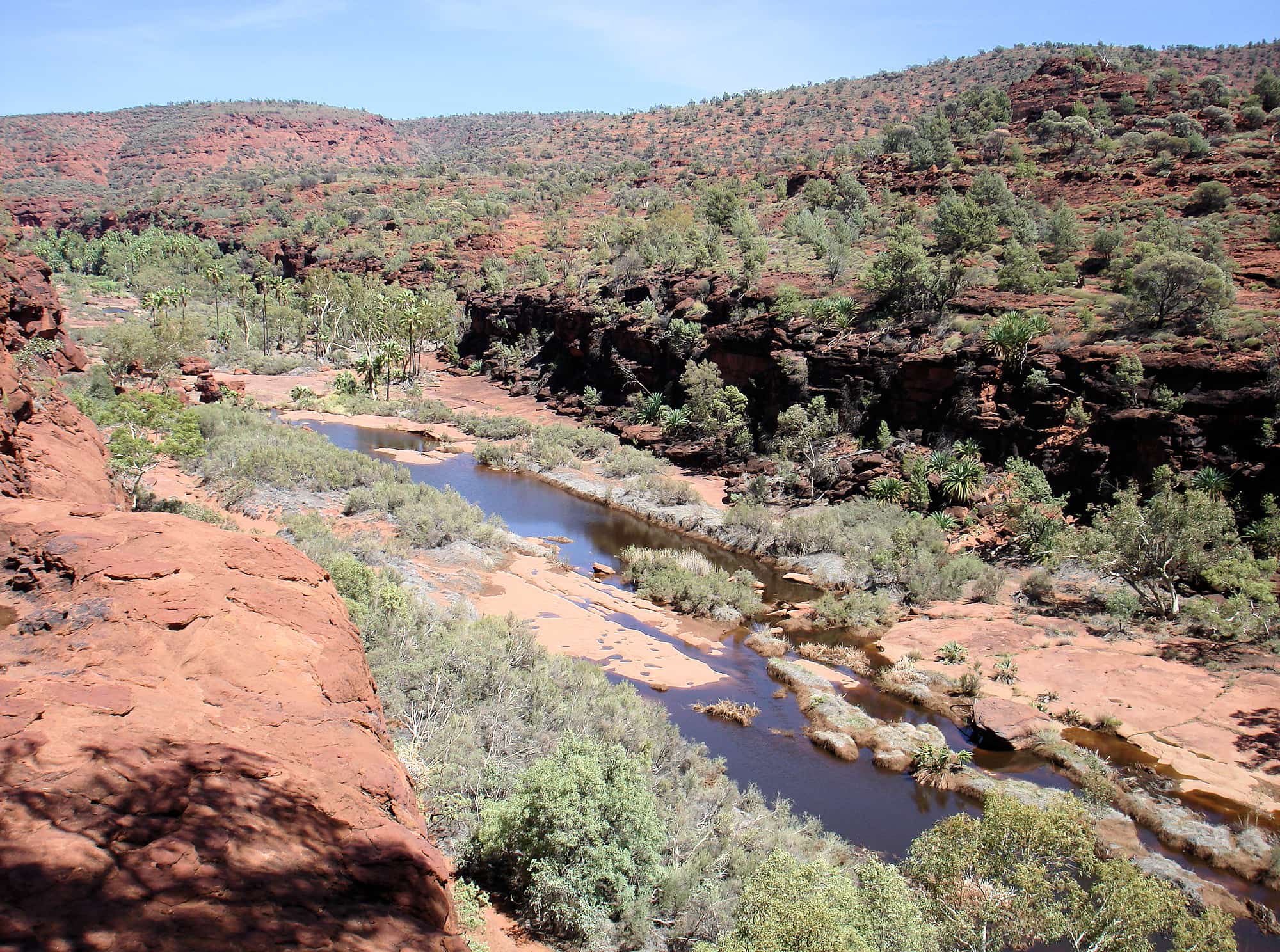 Palm Valley, Finke Gorge National Park