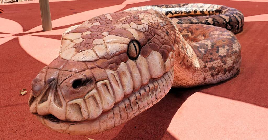 Python - Alice Springs Desert Park children playground