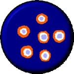 Rockholes symbol (sometimes depicts rockholes with water)
