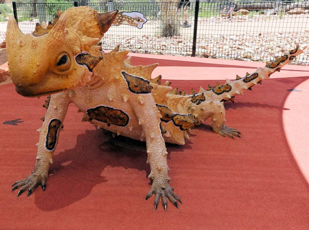 Thorny Devil - Alice Springs Desert Park children playground