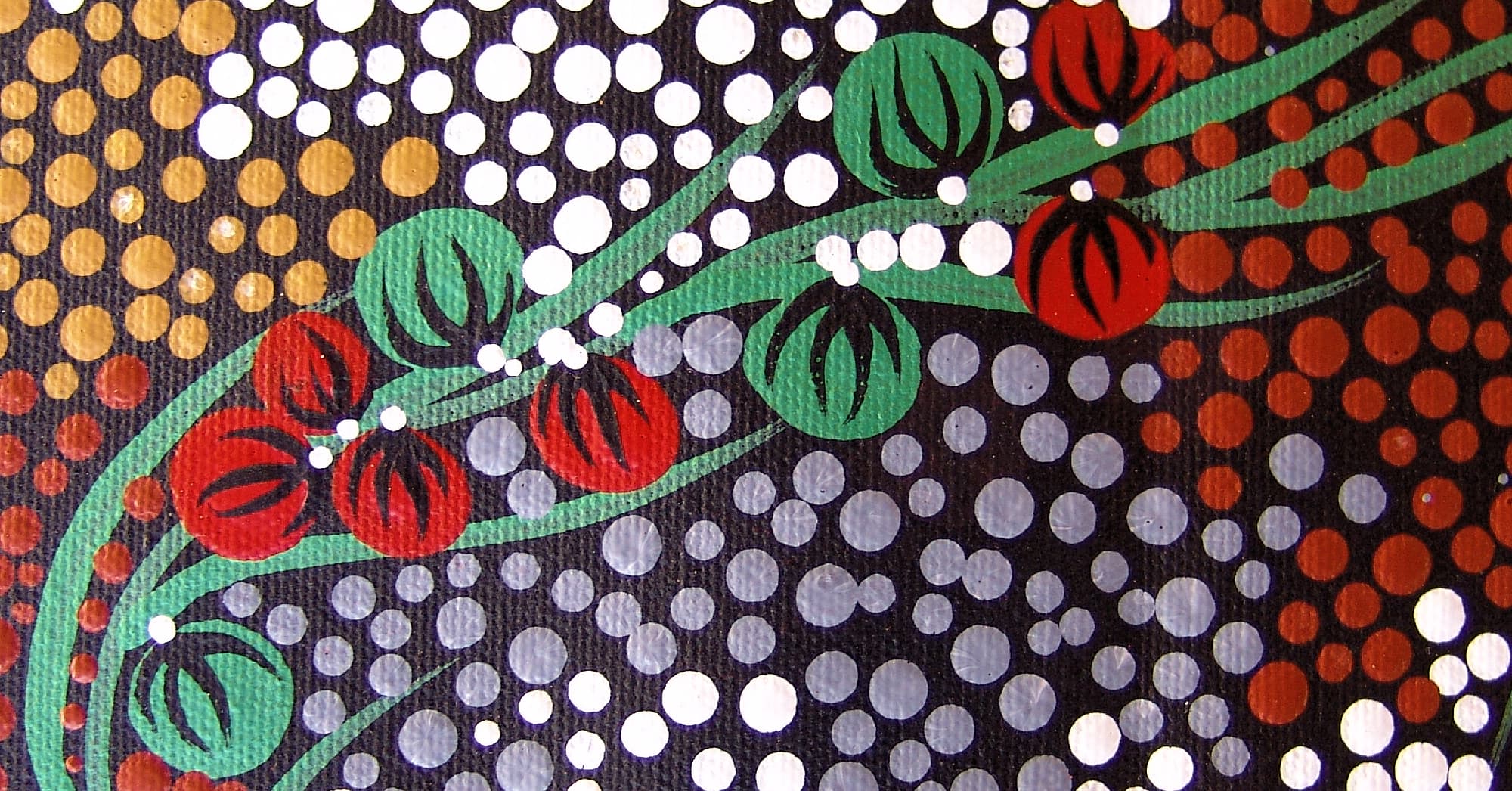 Bush tomato (extract from painting), 2008 ยฉ Trephina Sultan Thanguwa