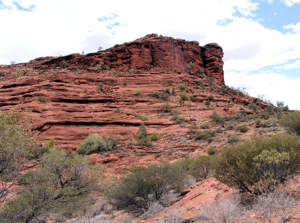 View from the Kalarranga Lookout walk, Finke Gorge National Park