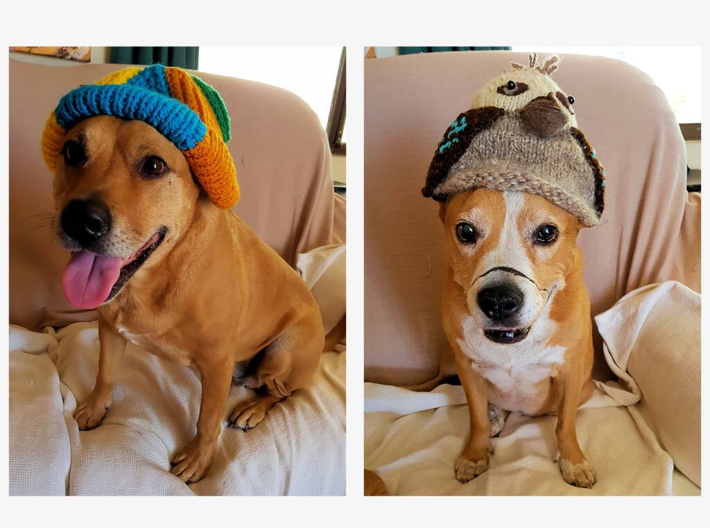 Modelling for the Alice Springs Beanie Festival