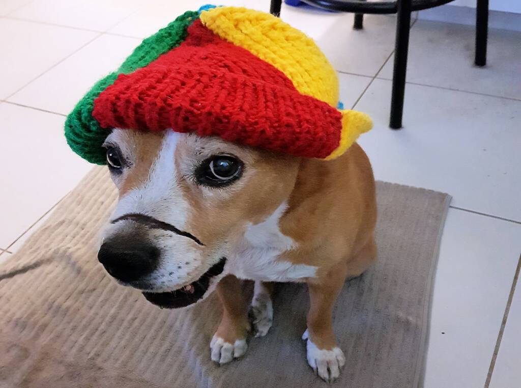 Modelling for the Alice Springs Beanie Festival