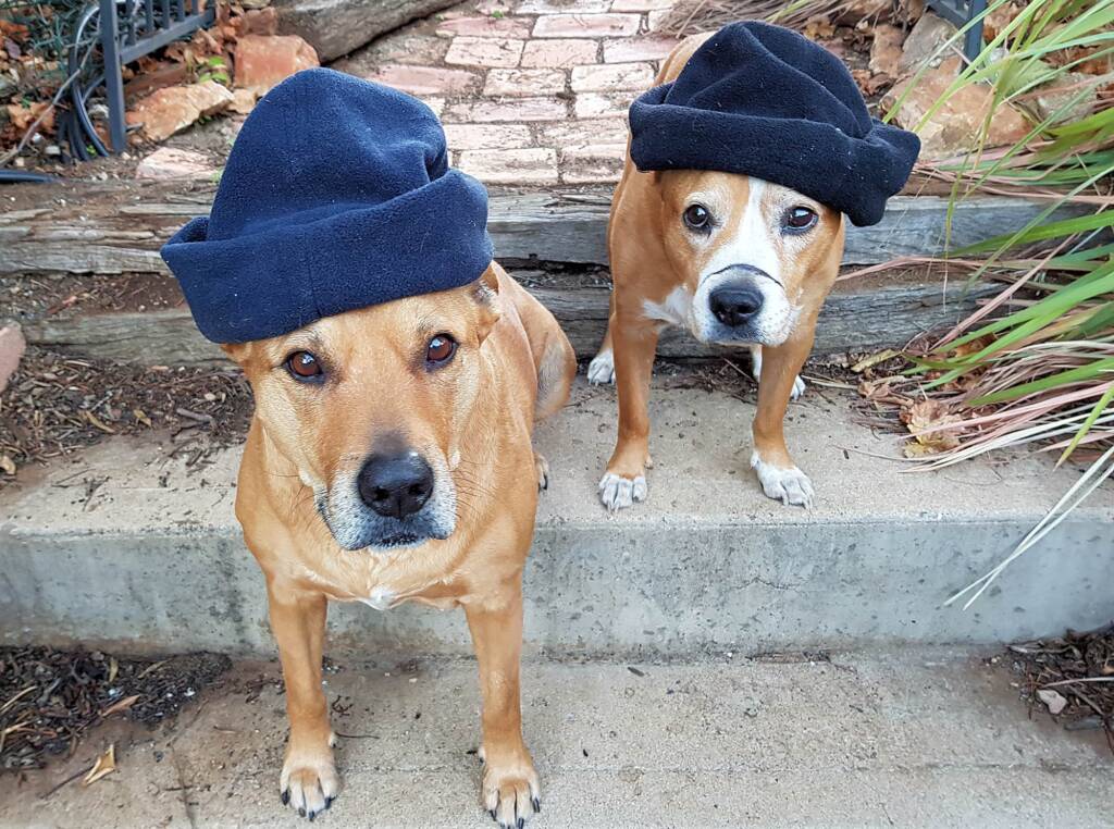 Modelling for the Alice Springs Beanie Festival