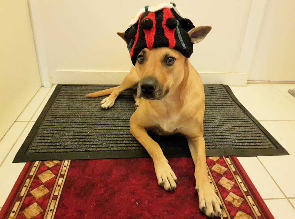 Modelling for the Alice Springs Beanie Festival