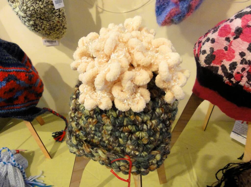 Alice Springs Beanie Festival, 2012