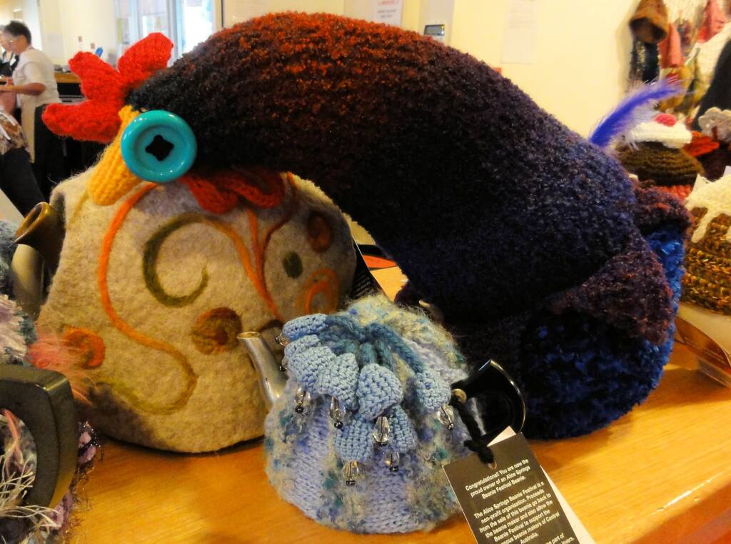Alice Springs Beanie Festival, 2013