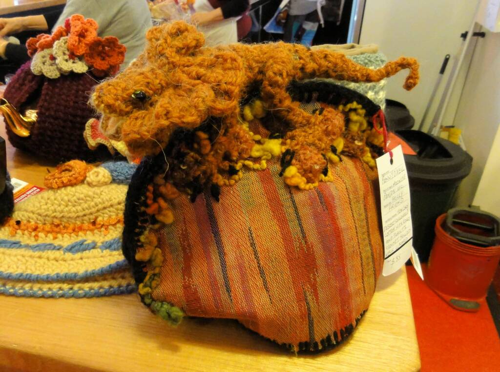 Alice Springs Beanie Festival, 2013