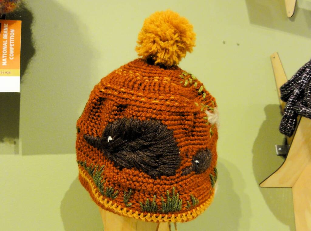Alice Springs Beanie Festival, 2013