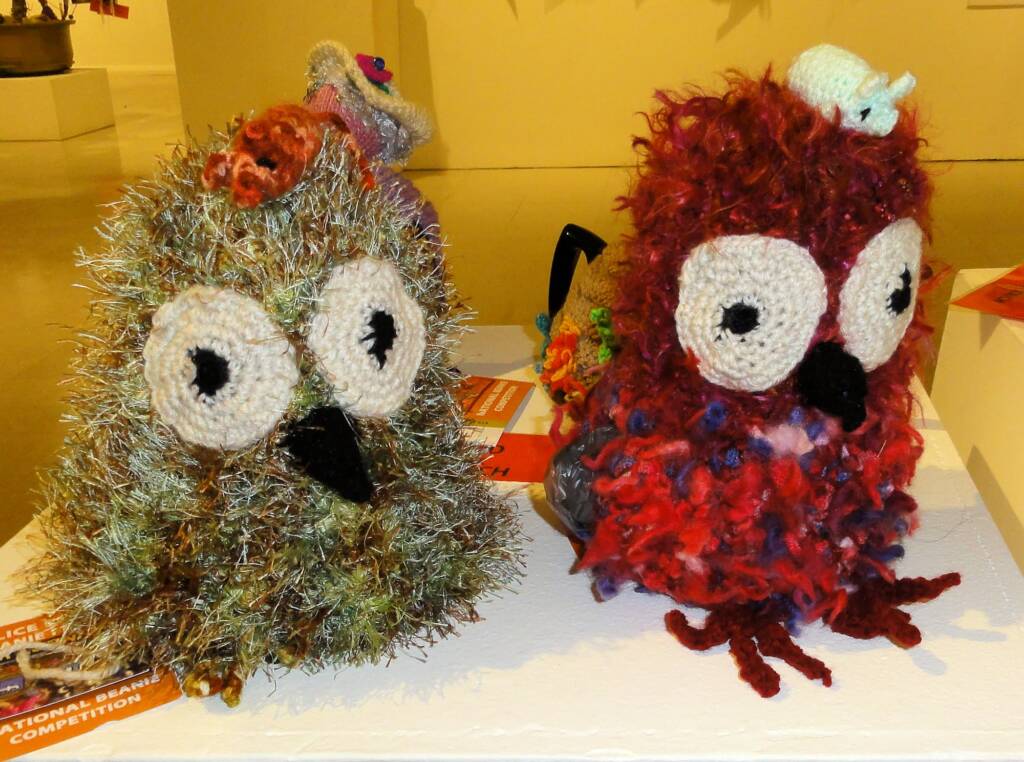 Alice Springs Beanie Festival, 2013