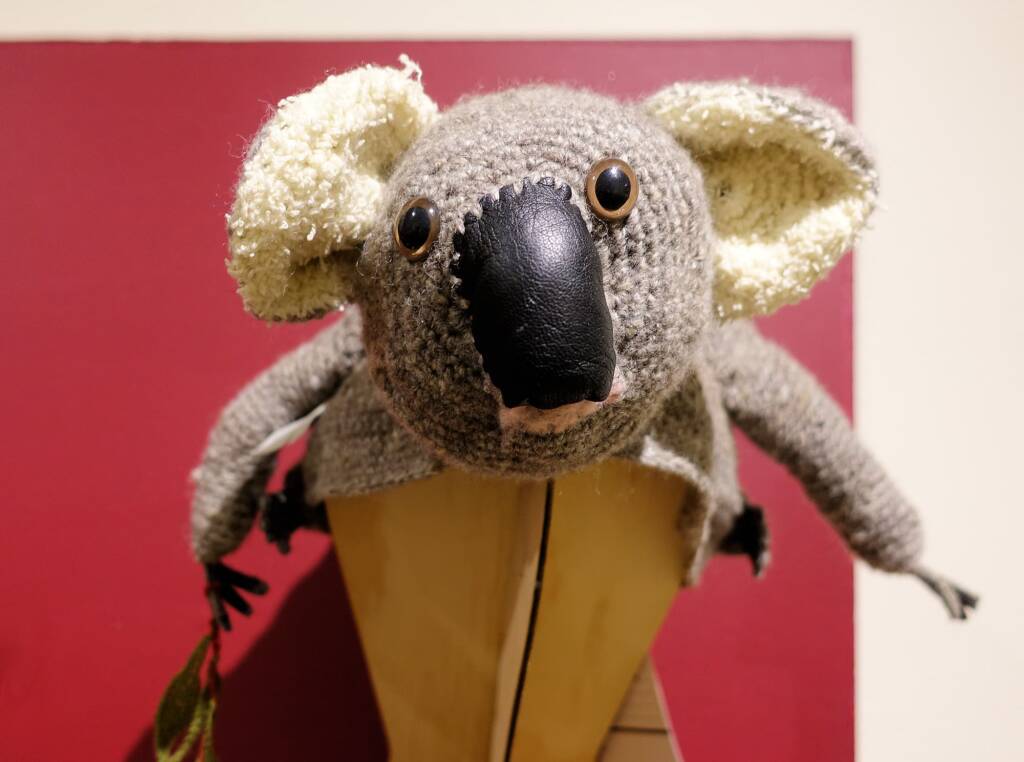 Alice Springs Beanie Festival, 2019