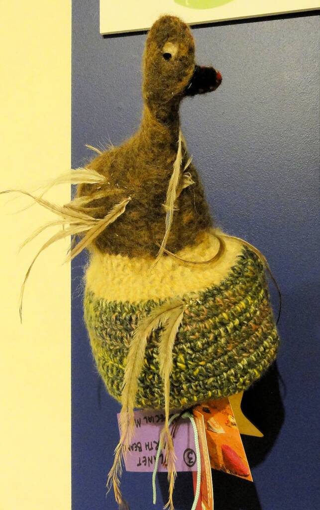 Emu by artist Rhonda Williams, Wiluna Art Centre, WA, Alice Springs Beanie Festival, 2014