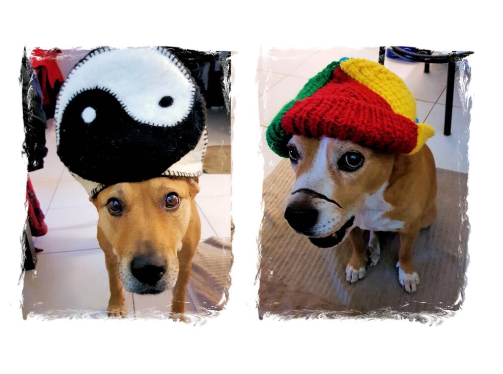 Modelling for the Alice Springs Beanie Festival