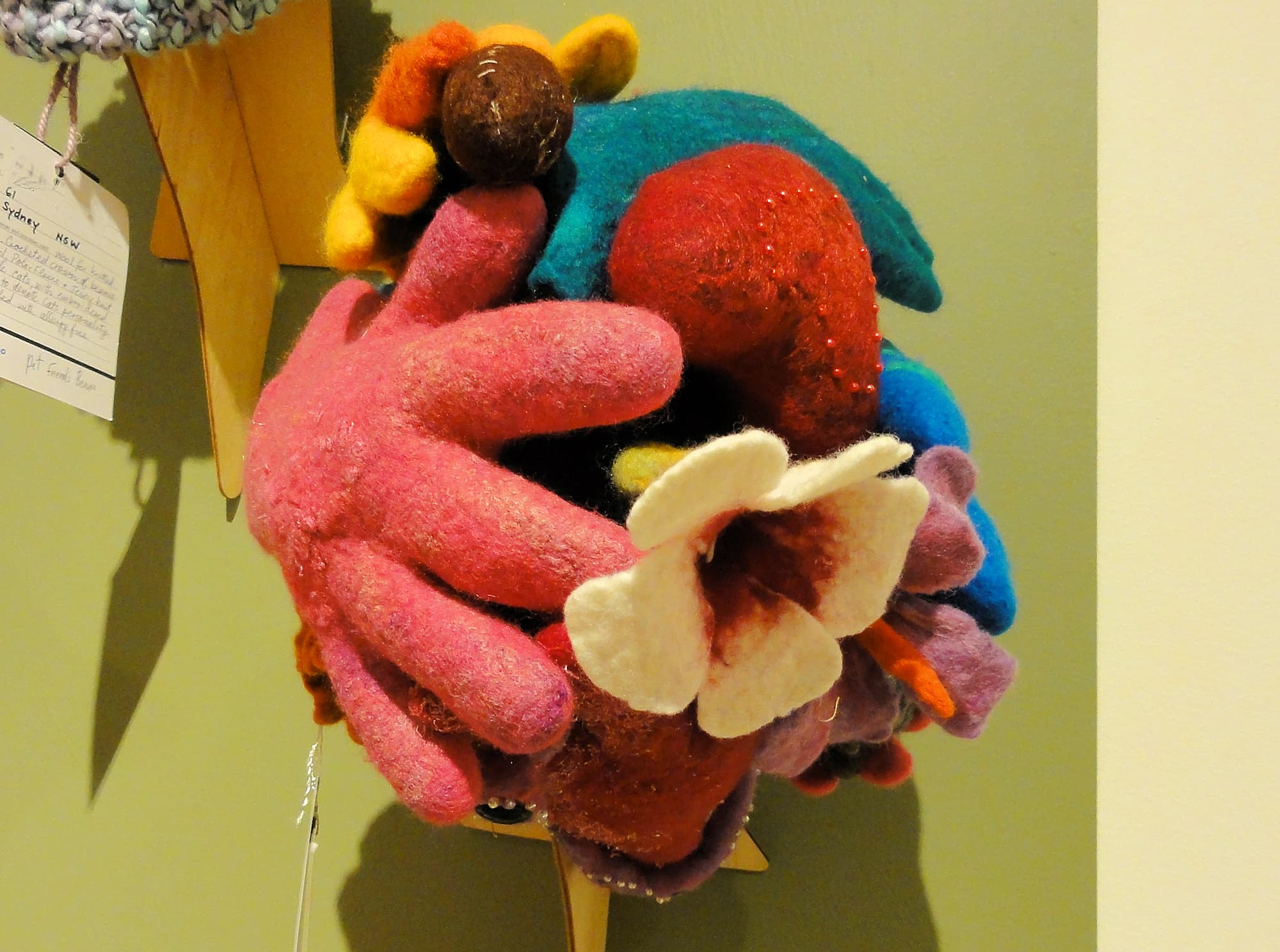 Alice Springs Beanie Festival, 2013