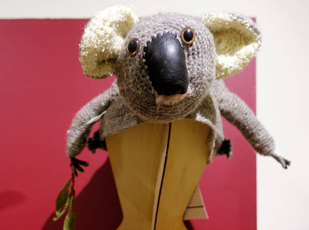 Alice Springs Beanie Festival, 2019