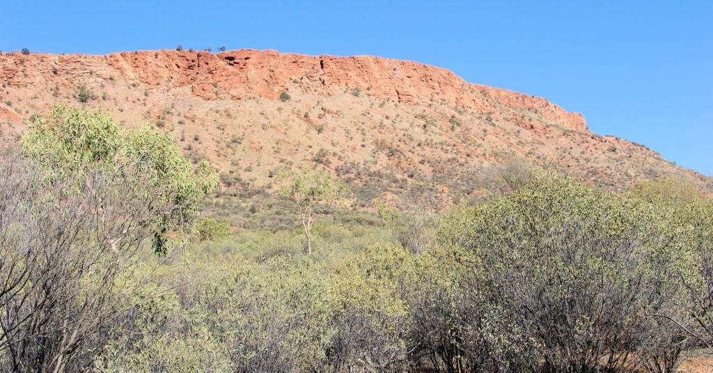Mount Gillen, Alice Springs Desert Park