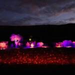 Lifting Our Spirits, 2020 - Parrtjima - A Festival in Light