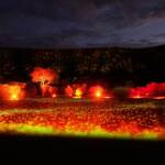 Lifting Our Spirits, 2020 - Parrtjima - A Festival in Light