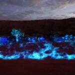 Lifting Our Spirits, 2020 - Parrtjima - A Festival in Light