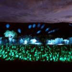 Lifting Our Spirits, 2020 - Parrtjima - A Festival in Light