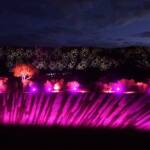 Lifting Our Spirits, 2020 - Parrtjima - A Festival in Light
