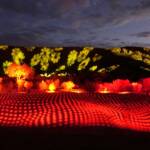 Lifting Our Spirits, 2020 - Parrtjima - A Festival in Light