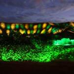 Lifting Our Spirits, 2020 - Parrtjima - A Festival in Light