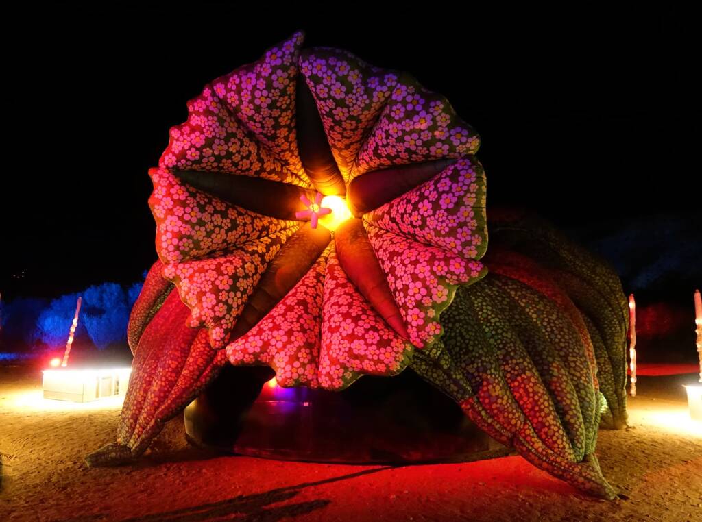 Lifting Our Spirits, 2020 - Parrtjima - A Festival in Light