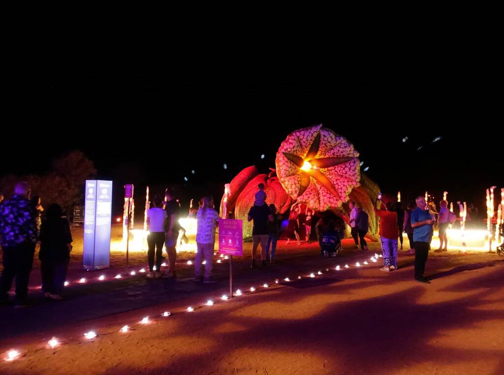 Lifting Our Spirits, 2020 - Parrtjima - A Festival in Light