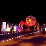 Lifting Our Spirits, 2020 - Parrtjima - A Festival in Light