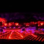 Future Kultcha - Spirit Kultcha, 2021 - Parrtjima - A Festival in Light