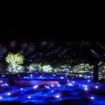 Future Kultcha - Spirit Kultcha, 2021 - Parrtjima - A Festival in Light
