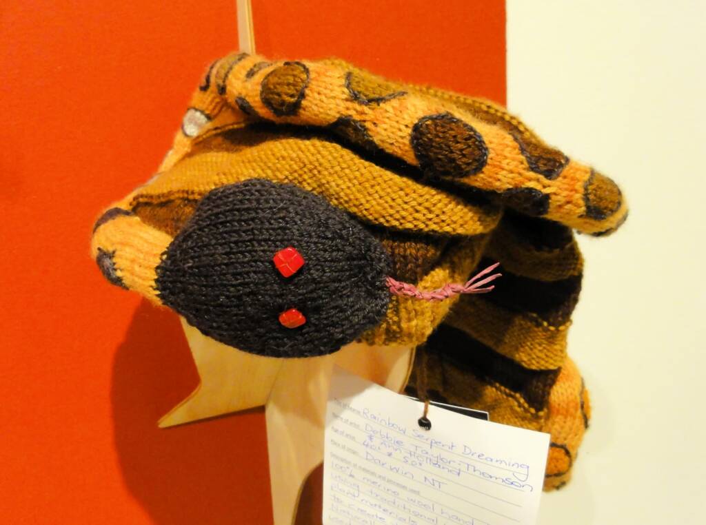Alice Springs Beanie Festival, 2013