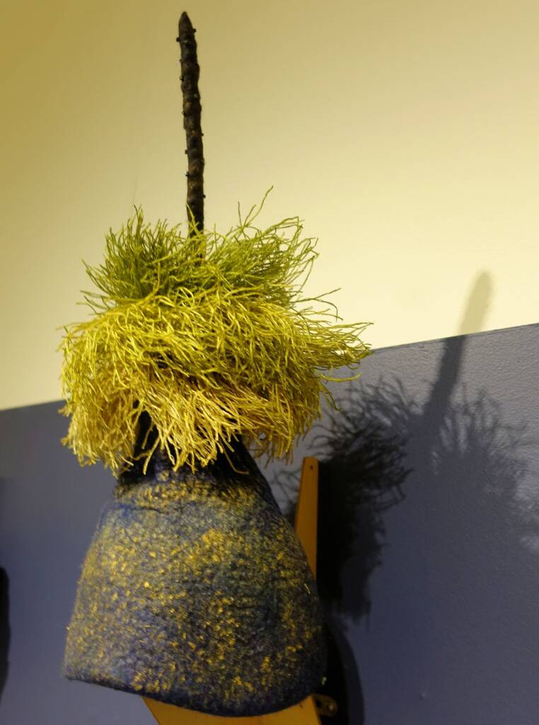Xanthorrhoea by artist Rhoda Rettke, Alice Springs Beanie Festival, 2018