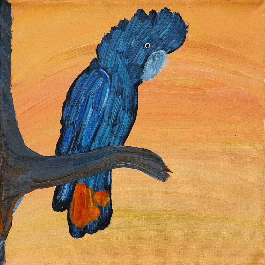 Red-tailed Black Cockatoo by Kukula McDonald