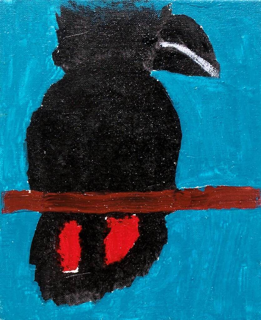 Red-tailed Black Cockatoo, 2006 by Kukula McDonald