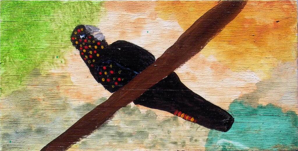 Red-tailed Black Cockatoo, 2006 by Kukula McDonald