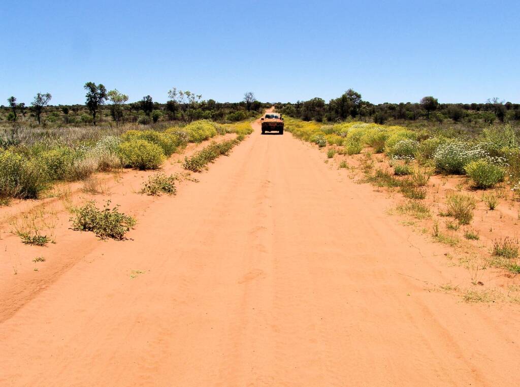 Owen Springs Reserve during the wildflower season